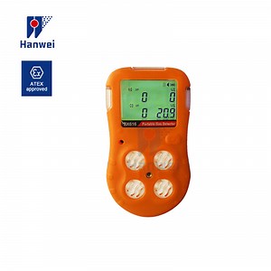 [Hot Item] Smart Sensor Multi Gas Detector O2 H2s Co Combustible Gas Analyzer with Sampling Pump