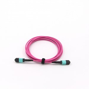 [Hot Item] MPO Optical Fiber Cable for Data Center