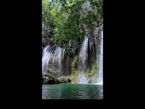 🎵 Welcome to a relaxing Live Music Stream – Chill Vibes & Calm Atmosphere 🎵