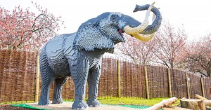 Giant Lego animals coming to Knowsley Safari this summer