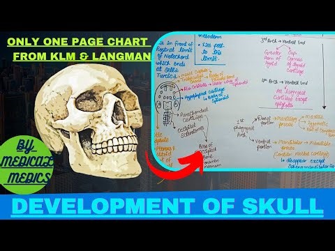 Development of Skull (Cranium) | Neurocranium & Viscerocranium | From KLM & Langman