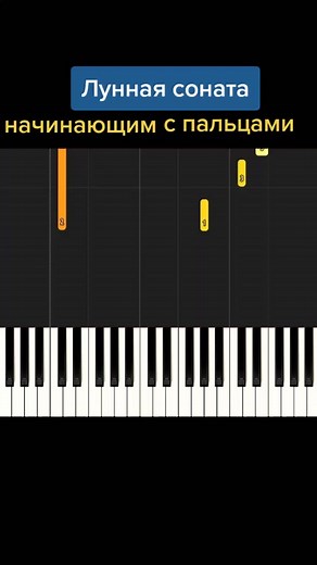 Ссылка на Ютуб-канал в профиле #луннаясонатабетховен #луннаясоната #напианино #урокифортепиано #рекомендациитикток