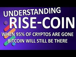 What is Rise? — Hive