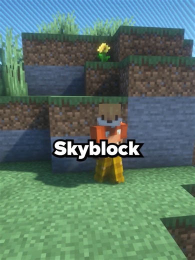 Can you play Skyblock? #minecraft #minecraftserver #skyblock #fyp