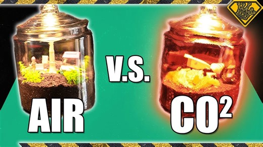 Watch what happens when too much CO2 is unleashed