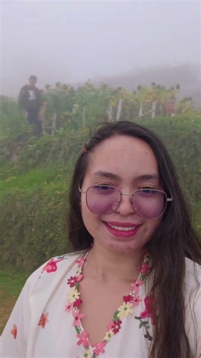 Northern Blossom Flower Farm Atok Benguet