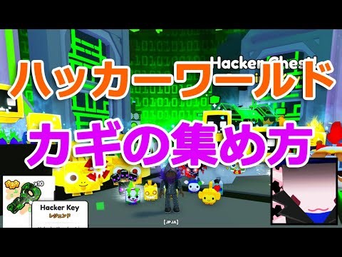 ハッカーワールドの内容とハッカーキーの集め方も紹介！ペットシミュレーター99【 ロブロックス Roblox】