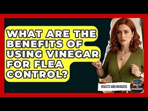 What Are The Benefits Of Using Vinegar For Flea Control? - Insects and Invaders