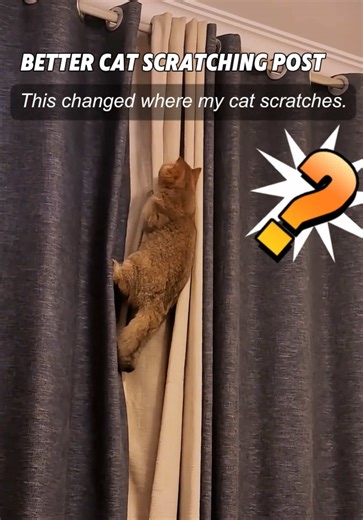 Cat Wall Scratcher: The Secret Your Feline Needs