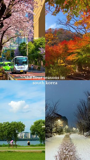 Best Time to Visit Korea: Exploring the Four Seasons