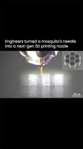 The BioStory| Shubham Harip | Engineers have recreated one of nature’s most precise tools. A mosquito’s proboscis, the ultra-thin needle it uses to pierce skin,... | Instagram