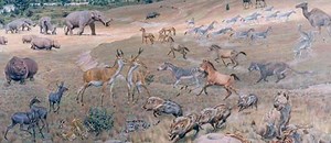 Pliocene - Alchetron, The Free Social Encyclopedia
