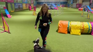 76 reactions · 12 shares |  Join us for Total Recall LIVE - a FREE 3-day online event that will revolutionize your dog's recall ability.  Say goodbye to hesitation and welcome a dog that comes when called every time! Don't miss out on this game-changing training. Reserve your spot now! | absoluteDOGS | Facebook