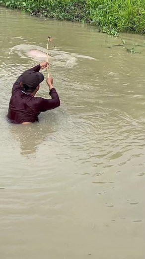 Amazing Fisherman Skills Hunting Massive Fish 😱 #fishing