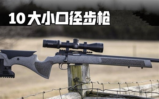 2024年十大22 LR步枪各具特色