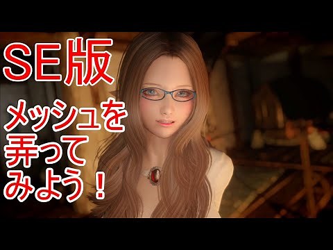 スカイリム MOD メッシュを弄ってみよう！