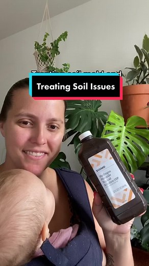 Dealing with Soil Mold and Fungus: Hydrogen Peroxide Solutions