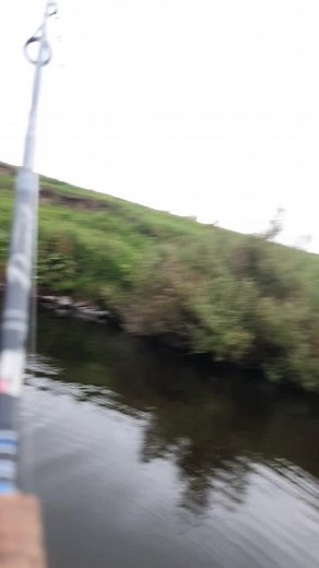 Troutandsalmon on TikTok