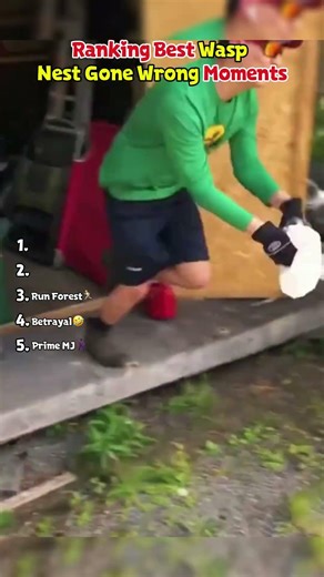 WASP NET GONE WRONG MOMENTS🐝😂