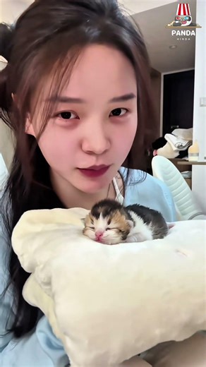 My kitten loves to sleep, and I love kissing it very much.😜😁#cat #kitten #pets