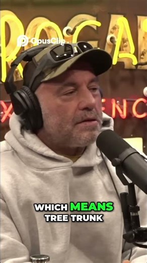 UFC's Scariest Fighter: Leg Locks & Unforgettable Submissions