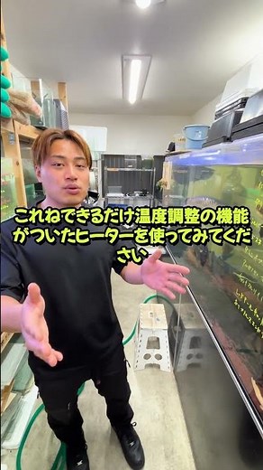 【ヒーター選び】水槽の温度管理に失敗しないコツ #セカンドアクア #江戸川区 #熱帯魚 #アクアリウム #水草 #金魚 #ヒーター #機材選び