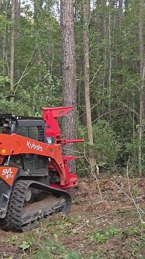 Franklin forestry (@franklin.forestry)’s videos with original sound - Franklin forestry