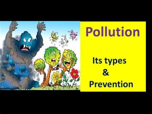 Types Of Pollution & How To Prevent Pollution - For Kids
