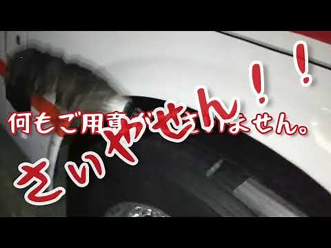 １０４観光バス車庫のとある夜