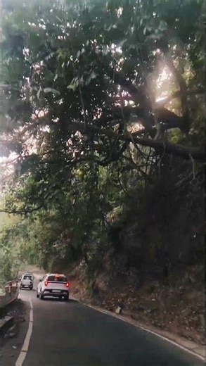 Mirik Tourist Places 🌿 | Hidden Paradise of Darjeeling Hills | Travel Reel#Mirik#MirikTourism