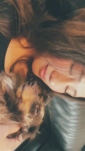 愛しの愛娘#犬 #fyp #jk