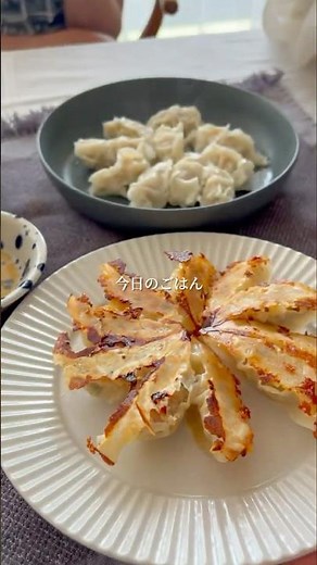 〈忙しいあなたへ〉焼き餃子と水餃子