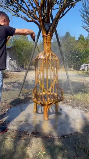 Chair shaped tree planting showcase #plantsculpture#treeart #landscapedesign