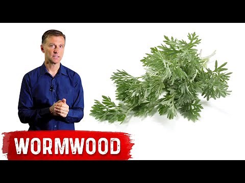 The Benefits of Wormwood