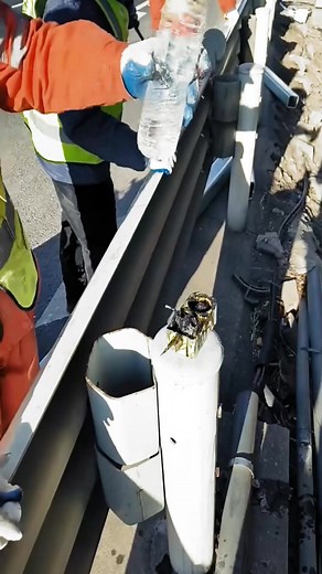 Highway Waveform Guardrail Installation- Efficient tooling and machinery make work more easy #short #funnymemes #viralshorts #funnyvideo #instagram #funnymoments #fypviralシ #fypシ゚ #catlover | Susan