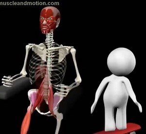 PhysioOsteoGram | ILIOPSOAS MUSCLE FUNCTIONAL ANATOMY This is an incredibly good explanation on iliopsoas muscle anatomy and how it works, additionally a... | Instagram