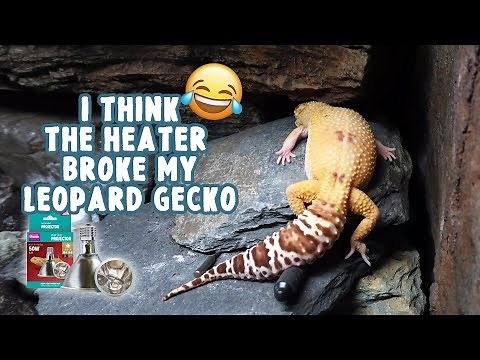 FULL Deep Heat Projector Review + Installation Tips | LEOPARD GECKO