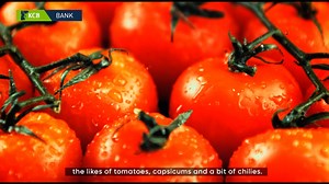 Who is a true partner? The one who understands your business. Meet Michael Kairo, Managing Director of Ngong Veg, which started as a local producer in 2008 and has now become a premium Kenyan produce exporter. When they needed capital and agricultural expertise to expand, KCB stepped in as the ideal partner with a dedicated agricultural section. KCB provided financing for tractors, equipment, and a modern packhouse. They also supported crop insurance. With KCB's backing, Ngong Veg increased reve