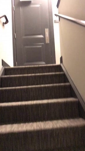 why is she so cute tho🥺🥰 #dog #cute #adorable