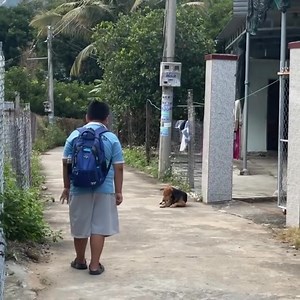 21K views · 196 reactions | My biggest fear: | Binit Napit | Facebook