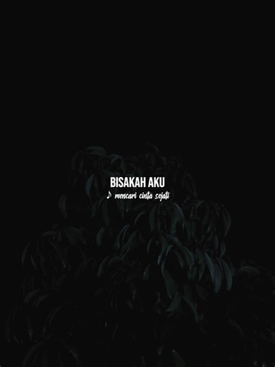 Mencari Cinta Sejati - Cover Lagu dan Lirik