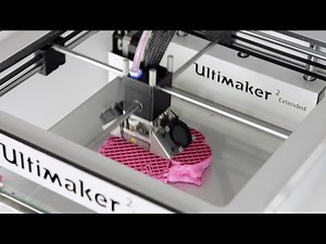 3D Printed Organ by Philips - Ultimaker: 3D Printing Timelapse