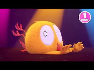 CHICKY | Chicky learns how to dance | 1 Hour Compilation | KIDS & FAMILY CARTOON