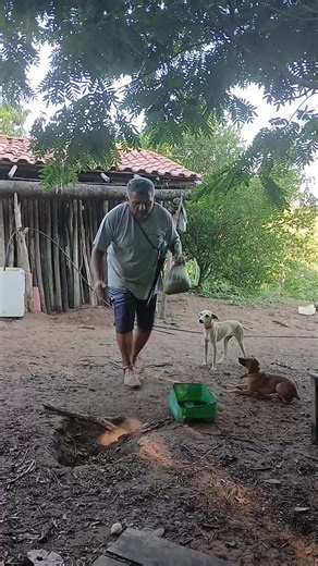 Os vídeos de edmilsonalexandre599@email.com (@edmilsonalexandre06) com som original - edmilsonalexandre599@email.com