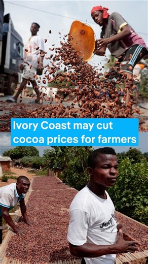 Ivory Coast considers reducing cocoa prices as it navigates a major industry crisis. #DWAfrica | DW Africa