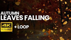 Falling Leaves Autumn 4K Loop [Transparent]