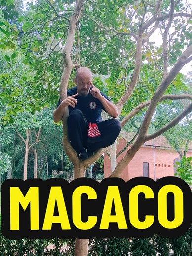 Discovering Kung Fu: A Journey into Martial Arts