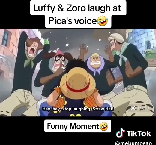 Funny Moment🤣: Luffy & Zoro Laugh at Pica's Voice