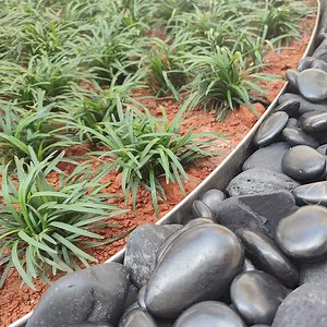[Hot Item] Stainless Steel 304 Edging System Paver Restraint for Landscaping