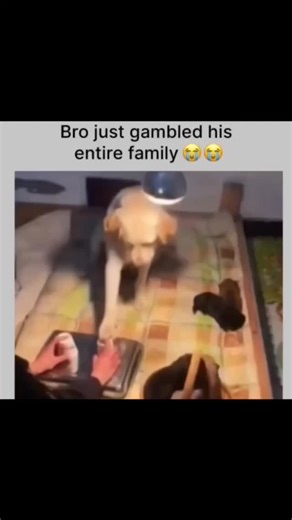 Trump on Instagram: "🎲 What is Gambling? Gambling is when a person risks money (or something of value) on an event or game that depends mostly on chance, hoping to win more money or a prize. In short: You risk something valuable for the chance to win something better. ⸻ 💰 Common Types of Gambling 1. Casino Games – Poker, Blackjack, Roulette, Slot Machines, etc. 2. Sports Betting – Betting on the outcome of sports matches (e.g., football, cricket). 3. Lotteries & Raffles – Buying tickets hoping